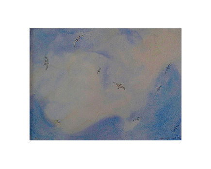 Gannets over St. Kilda.
